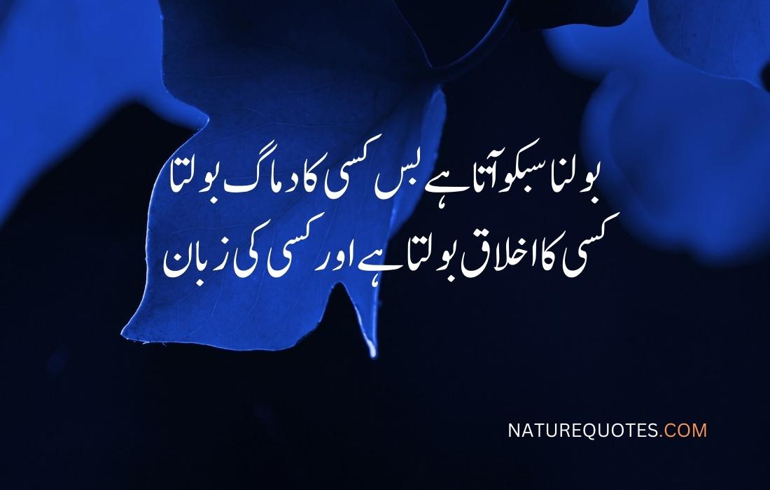 Attitude Quotes in Urdu