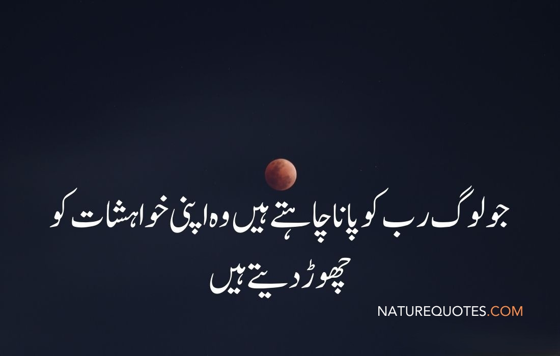 Deep inspirational quote in Urdu