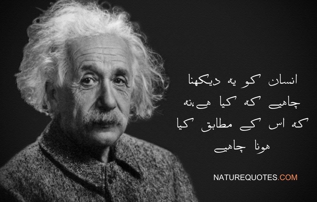 Albert Einstein golden quotes in urdu