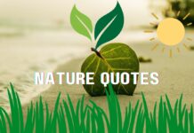 10 Inspirational Quotes of Nature for your emotions